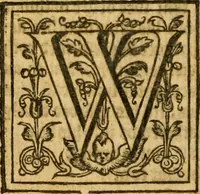 An illustration from Sermons of M. John Calvin upon the x. commandements of the lawe, given of God by Moses, otherwise called the Decalogue : gathered worde for worde, presently at his sermons, when hee preached on Deuteronomie ... (1581)