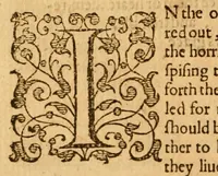 An illustration from Sermons upon the whole boke of the Revelation (1599)