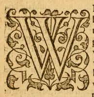 An illustration from Sermons upon the whole boke of the Revelation (1599)