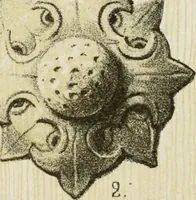 An illustration from Serrurerie du moyen-âge : les ferrures de portes (1858)