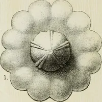 An illustration from Serrurerie du moyen-âge : les ferrures de portes (1858)