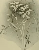 An illustration from Sesame & lilies, The two paths, & The king of the golden river (1909)