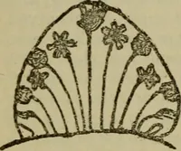 Picture 11 of 35 from Sesame & lilies, The two paths, & The king of the golden river (1909), leaf 255