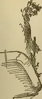 An illustration from Sesame & lilies, The two paths, & The king of the golden river (1909)