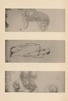 An illustration from Sesshū gasui = Selected paintings of Sesshū (1907)