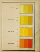 An illustration from Setamine colors : for tin-weighte silk (1927)