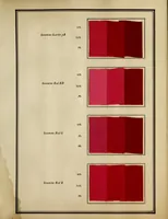 An illustration from Setamine colors : for tin-weighte silk (1927)