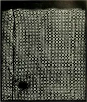 An illustration from Seven centuries of lace (1908)