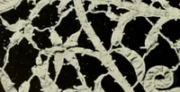 An illustration from Seven centuries of lace (1908)