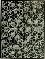 An illustration from Seven centuries of lace (1908)