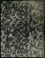 Picture 112 of 119 from Seven centuries of lace (1908), leaf 188