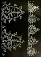 Picture 30 of 118 from Seven centuries of lace (1908), leaf 108
