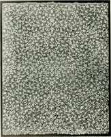 Picture 44 of 118 from Seven centuries of lace (1908), leaf 123