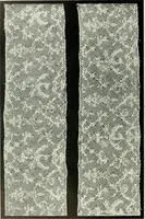 Picture 108 of 118 from Seven centuries of lace (1908), leaf 187