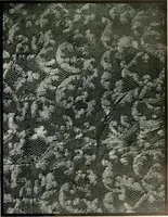 Picture 111 of 118 from Seven centuries of lace (1908), leaf 190