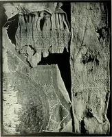 Picture 4 of 118 from Seven centuries of lace (1908), leaf 81