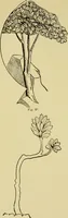 An illustration from The seven lamps of architecture : lectures on architecture and painting : the study of architecture (1900)