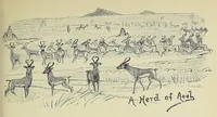 An illustration from Seventeen trips through Somaliland and a visit to Abyssinia : with supplementary preface on the 'Mad Mullah' risings (1903)