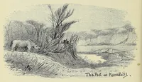 Picture 7 of 13 from Seventeen trips through Somaliland and a visit to Abyssinia : with supplementary preface on the 'Mad Mullah' risings (1903), leaf 224