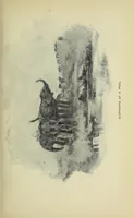 Picture 3 of 13 from Seventeen trips through Somaliland and a visit to Abyssinia : with supplementary preface on the 'Mad Mullah' risings (1903), leaf 91