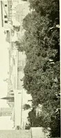 An illustration from Seville; an historical and descriptive account of "the pearl of Andalusia," (1907)