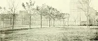 An illustration from Seville; an historical and descriptive account of "the pearl of Andalusia," (1907)