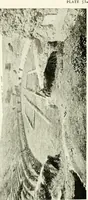 Picture 50 of 311 from Seville; an historical and descriptive account of "the pearl of Andalusia," (1907), leaf 218