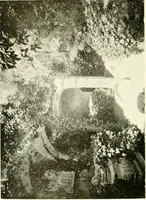 An illustration from Seville; an historical and descriptive account of "the pearl of Andalusia," (1907)