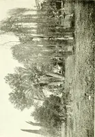 An illustration from Seville; an historical and descriptive account of "the pearl of Andalusia," (1907)