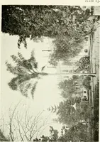 Picture 63 of 311 from Seville; an historical and descriptive account of "the pearl of Andalusia," (1907), leaf 230