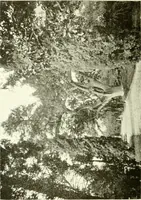 An illustration from Seville; an historical and descriptive account of "the pearl of Andalusia," (1907)