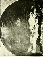 An illustration from Seville; an historical and descriptive account of "the pearl of Andalusia," (1907)