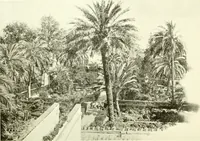 Picture 270 of 311 from Seville; an historical and descriptive account of "the pearl of Andalusia," (1907), leaf 429