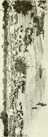 Picture 300 of 311 from Seville; an historical and descriptive account of "the pearl of Andalusia," (1907), leaf 458