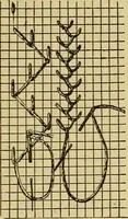 An illustration from A sewing course, comprising directions for making the various stitches and instruction in methods of teaching (1908)