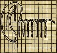An illustration from A sewing course, comprising directions for making the various stitches and instruction in methods of teaching (1908)