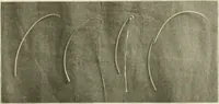 An illustration from Sewing; handicraft for girls; a graded course for city and rural schools (1918)