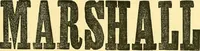An illustration from Sewing machine gazette (1874)