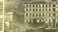 Picture 146 of 467 from Sewing machine gazette (1874), leaf 140
