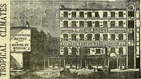 Picture 265 of 467 from Sewing machine gazette (1874), leaf 267