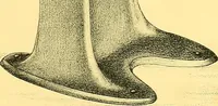 Picture 389 of 467 from Sewing machine gazette (1874), leaf 444