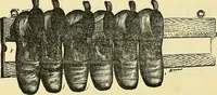 Picture 442 of 467 from Sewing machine gazette (1874), leaf 499