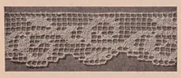 An illustration from Sewing materials:Development of textiles. Cottons, linens, wools, silks, laces. (1923)