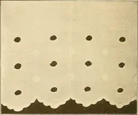 An illustration from Sewing and textiles; (1921)