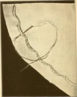 An illustration from Sewing and textiles; (1921)