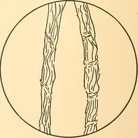 An illustration from Sewing and textiles; (1921)