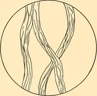 An illustration from Sewing and textiles; (1921)