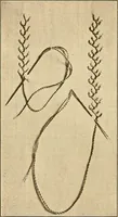 An illustration from Sewing and textiles; (1921)