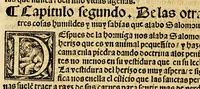 An illustration from Sexta parte del Abecedario espiritual (1554)