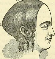 An illustration from Sexual science : including manhood, womanhood, and their mutual interrelations ; love, its laws, power etc. ... as taught by phrenolog (1870)